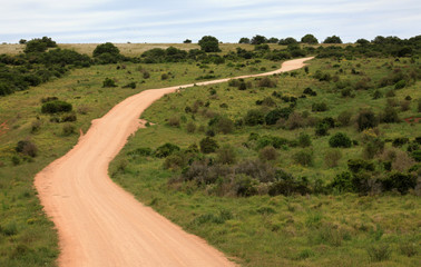 camino campo
