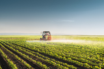 Obraz premium Tractor spraying soybean
