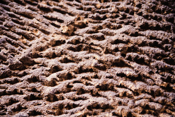 old wall texture