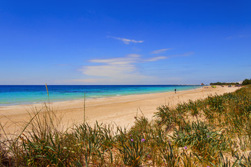 SUMMERTIME.Ionian coast of Salento:Torre Pali beach (Lecce). ITALY (Apulia).The low sandy coastline...