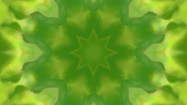 Beautiful green and orange circle kaleidoscopic pattern of abstract flower in eco style. Breathtaking meditative and hypnotic texture. Superb fractal animation. Loopable. Full HD footage 1920x1080
