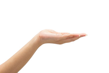 female hand on the isolated on white background