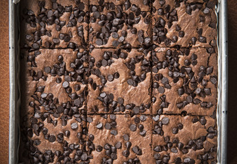 Sweet brownie with chocolate chips on plate