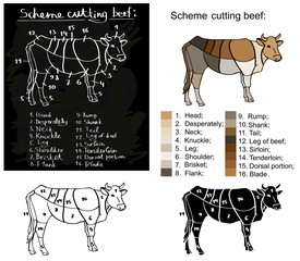 scheme cutting beef