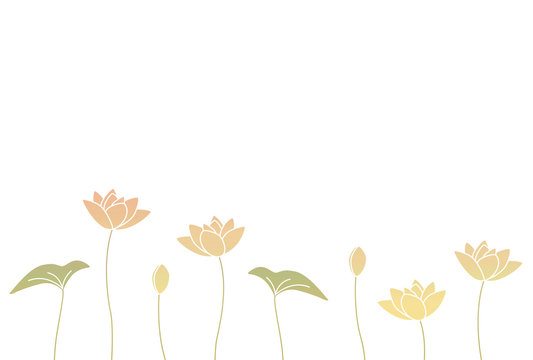 Fototapeta 蓮の花と葉　淡いアースカラー　グラフィック素材