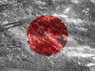Japan autum leaf flag set 