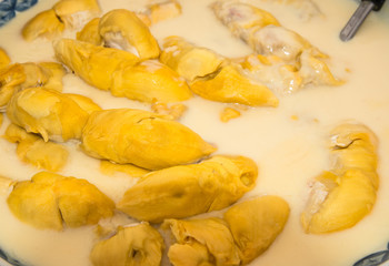 Durian and sweet sticky rice with coconut milk, dessert of Thail