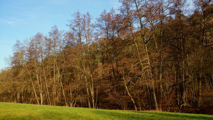 ruhige,herbstliche Idylle an einem sonnigen Bach im Schwarzwald