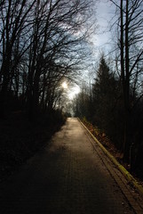 Bad Salzdetfurth