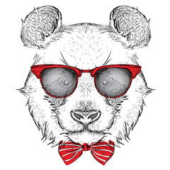 Fototapeta premium Image Portrait panda in the cravat and with glasses. Hand draw vector illustration.