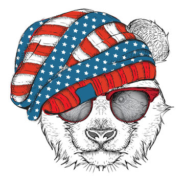 Hand draw panda in a USA hat. Vector illustration