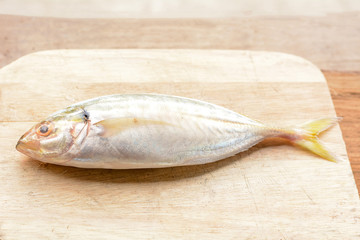 Mackerel on the wooden floor