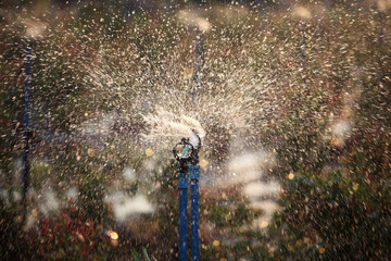 water sprinkler