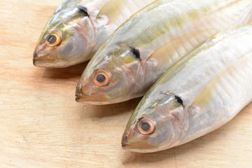 Mackerel on the wooden floor