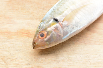 Mackerel on the wooden floor