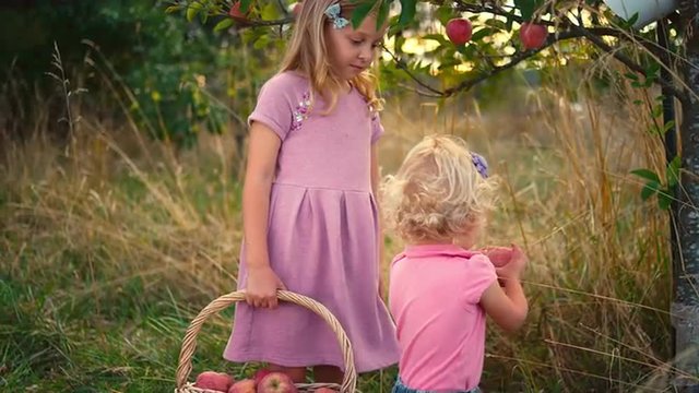 Two cute little girls picking apples off of a tree in a field