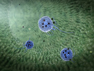 Phagocyte kills the virus, phagocytosis, phagocyte kills viruses, inside the human body, medical 3D graphics