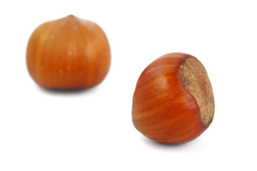 Raw hazelnut