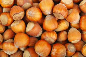 Lots of hazelnuts