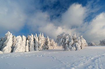 Winter am Schauinsland