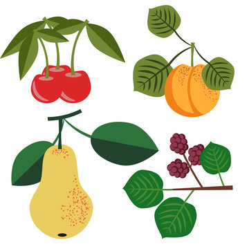 Vector fruits set