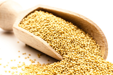 Amaranth freigestellt 