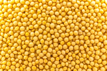 Amaranth freigestellt 