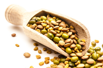 Sprossen Keimsaat Mischung