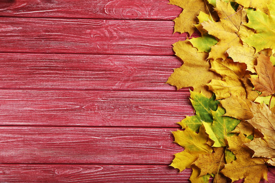 Autumn leafs on a red wooden table