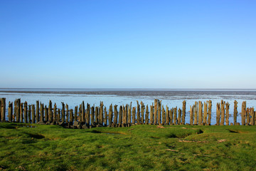 Wooden fence by the sea