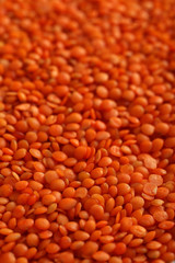 Red lentils background, close up