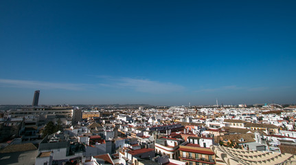 Setas Sevilla