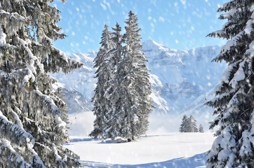 Braunwald, Switzerland