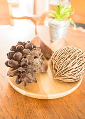 Bucket of green plant decorated on wooden table