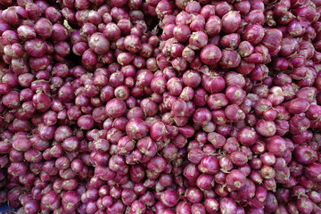 Bunch of shallots for Bulk sale.