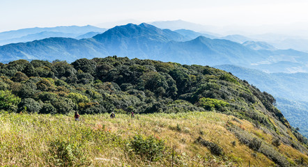 Montane forest at Kew Mae Pan Nature trail