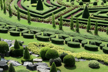 Topiary in an English Formal Garden