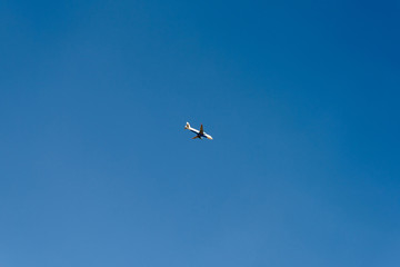 Airplane On Clear Blue Summer Sky