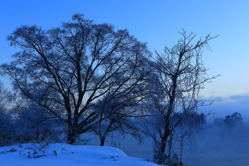 北上川の冬景色