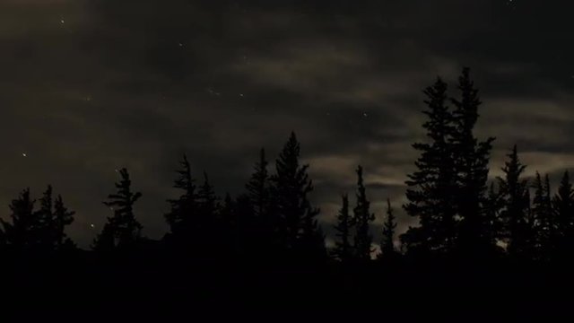 Trees and Moon at Night Pan