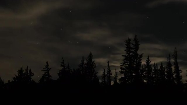 Moon and Trees Zoom In