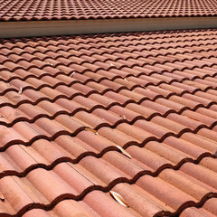 brown tile roof weathered on building residential