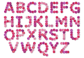 English alphabet from colorful flowers asters on a white backgro
