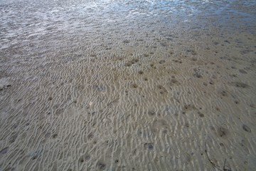 sandy beach at low tide, northern Italy
