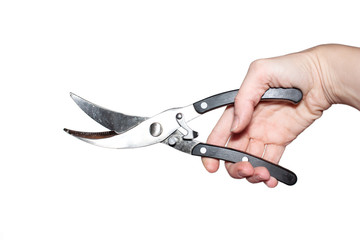 Poultry shears in hand isolated on white