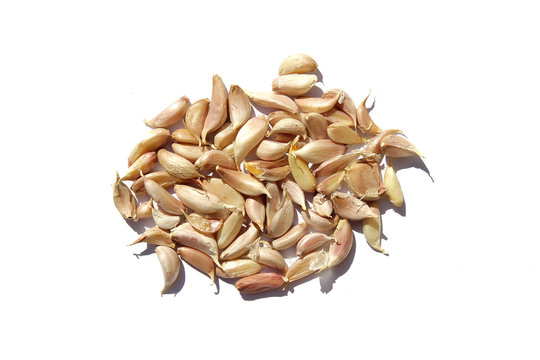 garlic