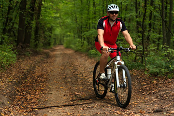 Naklejka premium Bicyclist with His Bicycle in the Summer Forest
