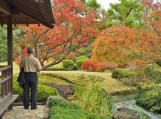 A lonely old man looking to the garden in autumn at Koko-en Garden in Himeji, Hyogo Prefecture, Japan. Koko-en Garden is a Japanese garden located next to Himeji Castle.