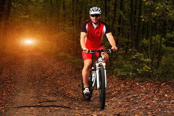 Bicyclist with His Bicycle in the Summer Forest