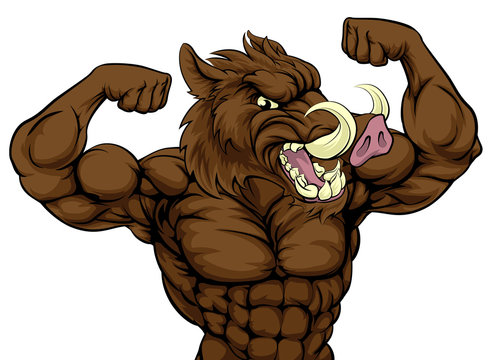 Boar Razorback Mascot